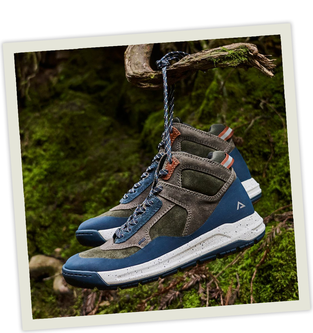 The Enzo in pine/navy hanging from a tree branch.