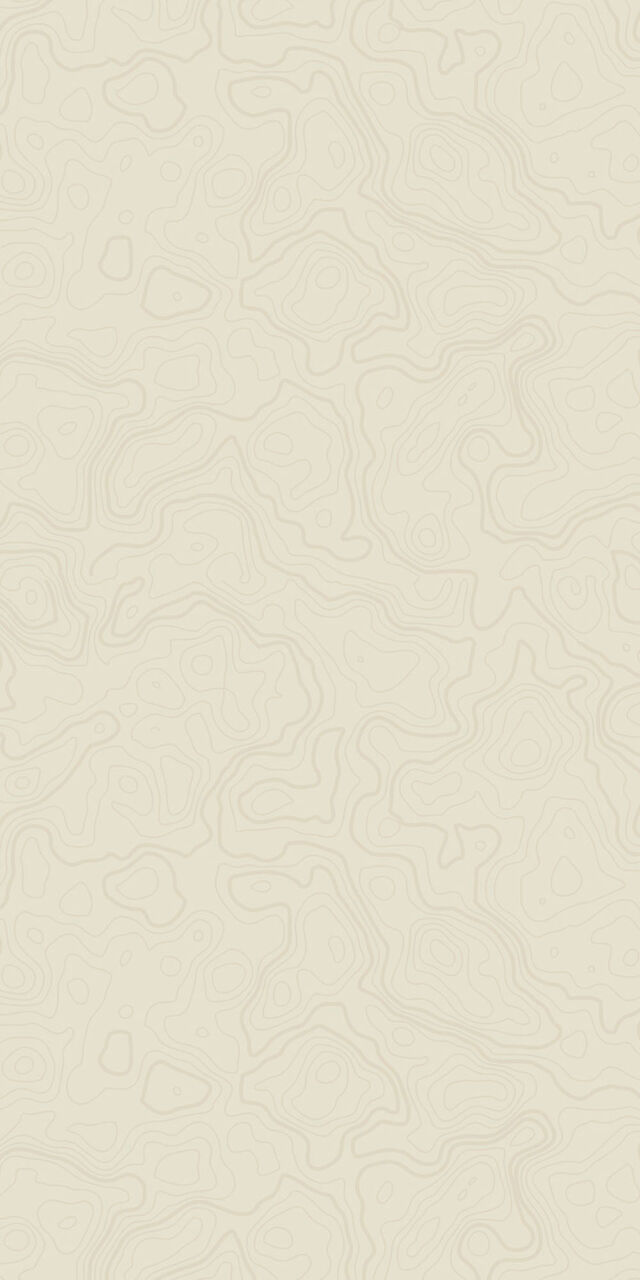 Topographic map texture.